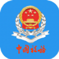 重庆税务app