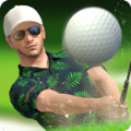 Golf King(高杆王者)