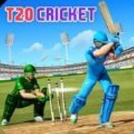 真实世界T20板球比赛（Real World T20 Cricket Games）