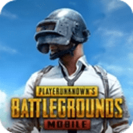 Pubg绝地求生国际服